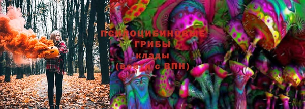 СК Навашино